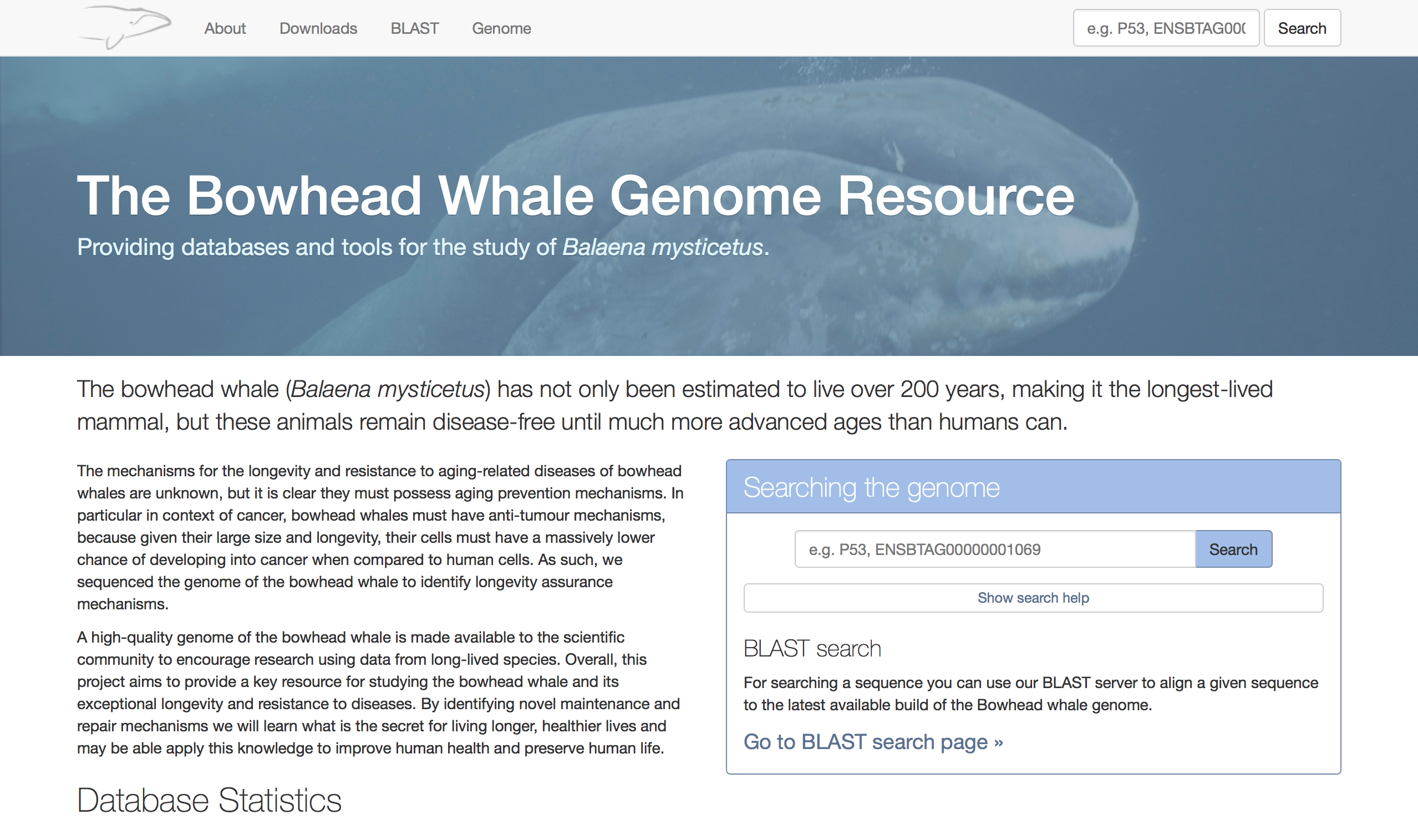 Bowhead whale genome resource homepage