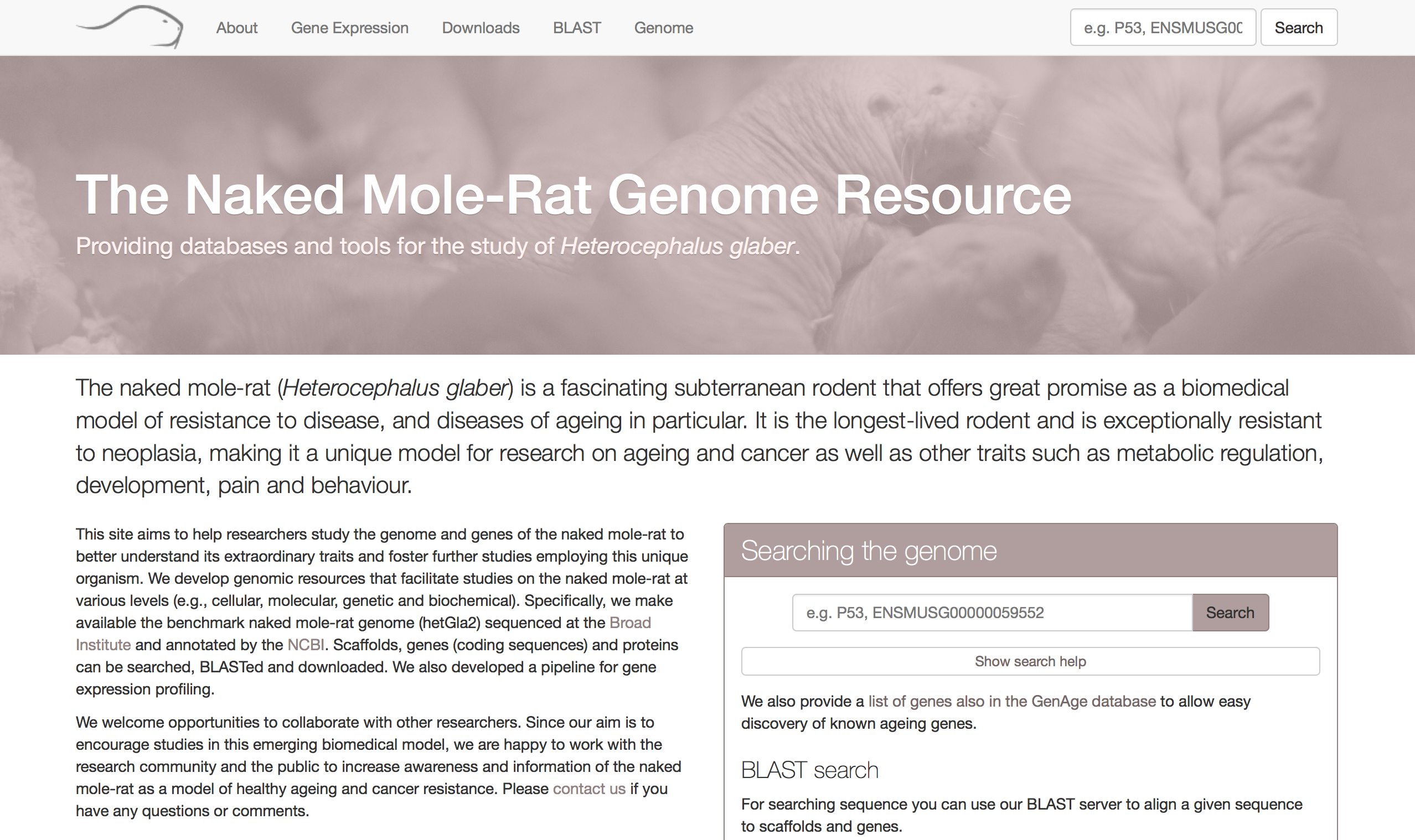 Naked Mole-rat genome resource homepage